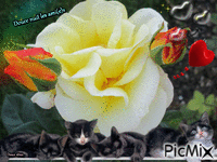 La rose animēts GIF