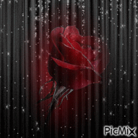 tube rose - Bezmaksas animēts GIF
