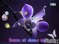 Fleur, bonne nuit - Безплатен анимиран GIF