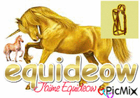 equideow - Animovaný GIF zadarmo
