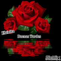 Rosas Rojas animirani GIF