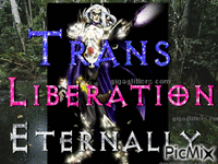 Diablo 2 necromancer says trans rights - GIF animé gratuit