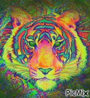 Tigerdelic (JIGGURL_PIXMIXR) animirani GIF