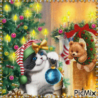 Chat de Noël et ours en peluche.