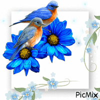 Blue flowers GIF animado