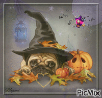 chien halloween animovaný GIF