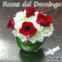 Rosas del Domingo 25 GIF animata