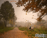 l'automne - Bezmaksas animēts GIF