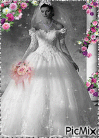Bride! - Free animated GIF