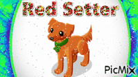 Red Setter - Gratis animerad GIF