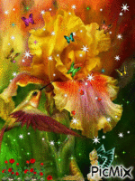 Envolée de papillon - Darmowy animowany GIF