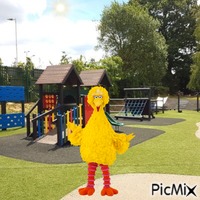 Big Bird playground animowany gif