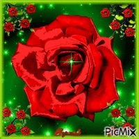 Rosa - GIF animé gratuit