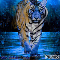 Tigre sous la pluie - GIF animado gratis