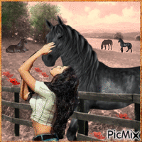 femme et son cheval - Безплатен анимиран GIF