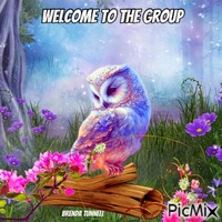 welcome owl - Besplatni animirani GIF