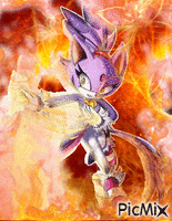 blaze the cat - Gratis animerad GIF