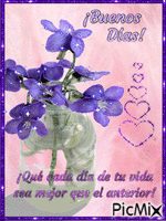 Violetas Animated GIF