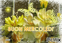BUON MERCOLEDI' - Gratis geanimeerde GIF