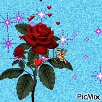 Une fleur - Darmowy animowany GIF