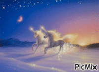 unicorn - Zdarma animovaný GIF