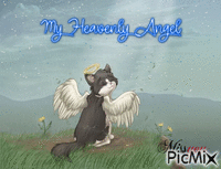 Angel animasyonlu GIF