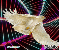 aguia Animated GIF