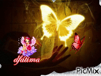 borboleta durada - Zdarma animovaný GIF