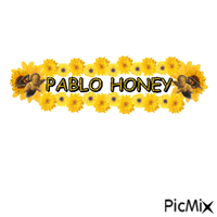 pablo honey κινούμενο GIF