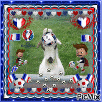 vive l' euro 2016 avec charlie le bouc - GIF animado gratis
