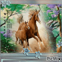 Freies Pferd - Darmowy animowany GIF