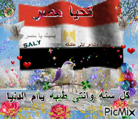 مصر ياام دنيا animasyonlu GIF