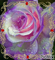 rosa lilas GIF animé