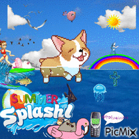 Summer Splash GIF animé