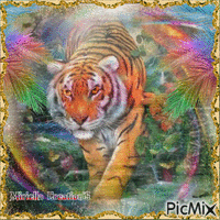 Beau  tigre animirani GIF
