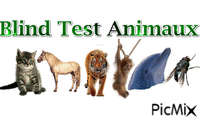 Blind Test Animaux - Animovaný GIF zadarmo