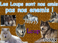 les Loups sont nos amis - Free animated GIF
