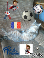kitty mon chat et le  foot GIF animado