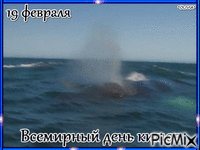 19 февраля Всемирный день китов - Бесплатни анимирани ГИФ