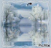 Winter Eagle! - Безплатен анимиран GIF