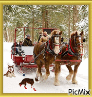 a nice sleigh ride
