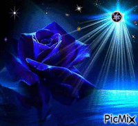 Rosa Azul geanimeerde GIF