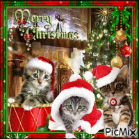 Christmas kittens