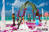 Beach wedding animowany gif