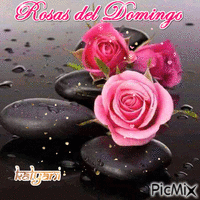 Rosas del Domingo12 - Безплатен анимиран GIF
