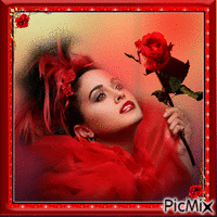 Красная роза в красной рамке - GIF animé gratuit