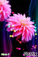 hoa dep animerad GIF
