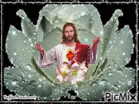 Jésus dans la rose Gif Animado