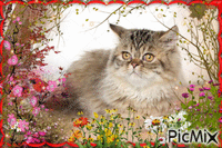 Chat et fleurs - GIF animé gratuit