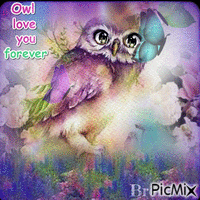 owl love you forever - GIF animé gratuit